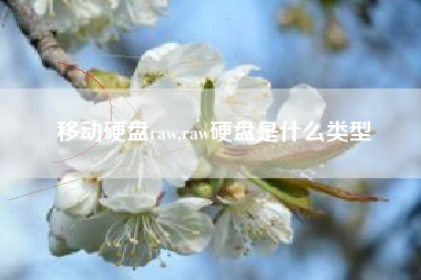 移动硬盘raw,raw硬盘是什么类型