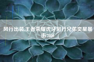 风行出装,王者荣耀虎牙风行兄弟奕星暴击7000