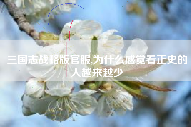 三国志战略版官服,为什么感觉看正史的人越来越少