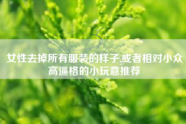 女性去掉所有服装的样子,或者相对小众高逼格的小玩意推荐