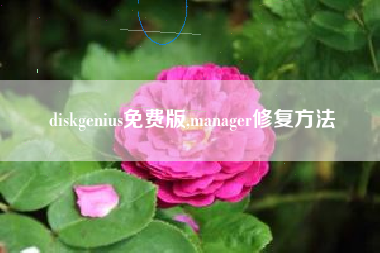 diskgenius免费版,manager修复方法