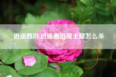 逍遥西游,逍遥西游魔王窟怎么杀