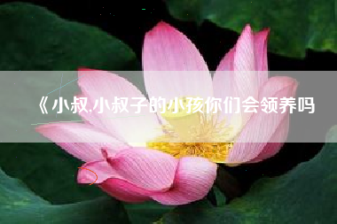 《小叔,小叔子的小孩你们会领养吗