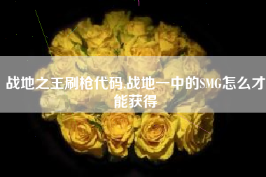 战地之王刷枪代码,战地一中的SMG怎么才能获得