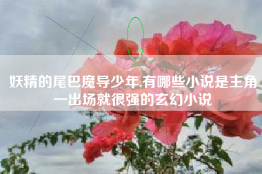 妖精的尾巴魔导少年,有哪些小说是主角一出场就很强的玄幻小说
