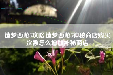 造梦西游5攻略,造梦西游5神秘商店购买次数怎么增加神秘商店