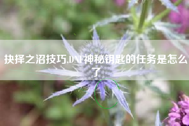 抉择之沼技巧,DNF神秘钥匙的任务是怎么了