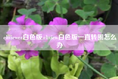 ehviewer白色版,ehview白色版一直转圈怎么办