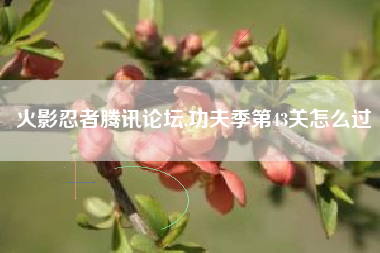 火影忍者腾讯论坛,功夫季第43关怎么过