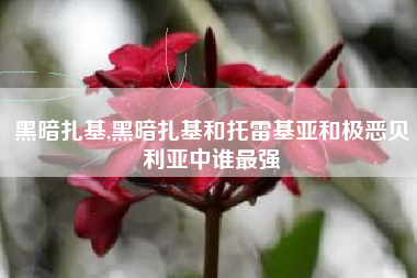 黑暗扎基,黑暗扎基和托雷基亚和极恶贝利亚中谁最强