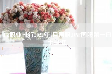 dnf职业排行2022年1月国服,DNF国服第一白手是谁