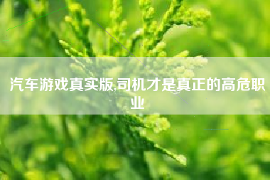 汽车游戏真实版,司机才是真正的高危职业