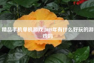 精品手机单机游戏,2019年有什么好玩的游戏吗