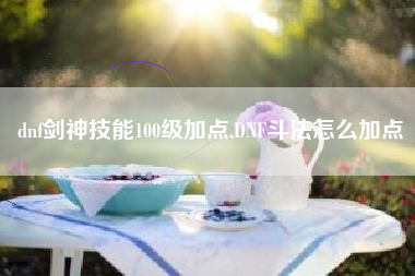 dnf剑神技能100级加点,DNF斗法怎么加点