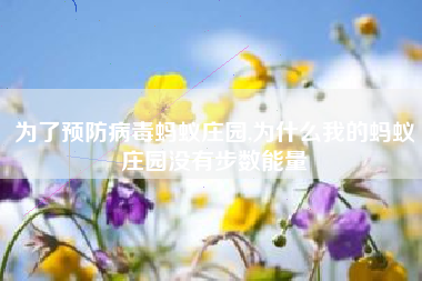 为了预防病毒蚂蚁庄园,为什么我的蚂蚁庄园没有步数能量