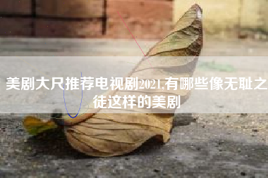 美剧大尺推荐电视剧2021,有哪些像无耻之徒这样的美剧