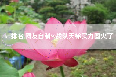 lck排名,网友自制S9战队天梯实力图火了