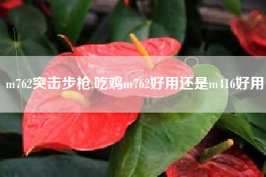 m762突击步枪,吃鸡m762好用还是m416好用
