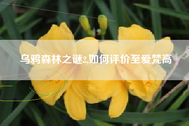 乌鸦森林之谜2,如何评价至爱梵高