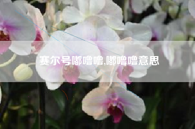 赛尔号嘟噜噜,嘟噜噜意思