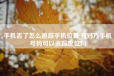 手机丢了怎么追踪手机位置,有对方手机号码可以追踪定位吗