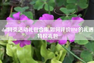 dnf网页活动礼包合集,如何评价DNF的礼遇特权礼包