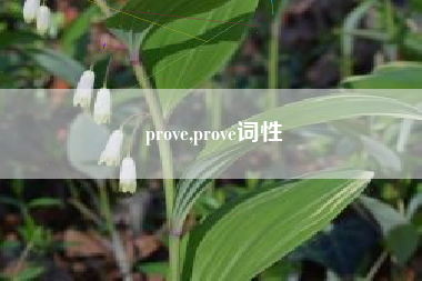 prove,prove词性
