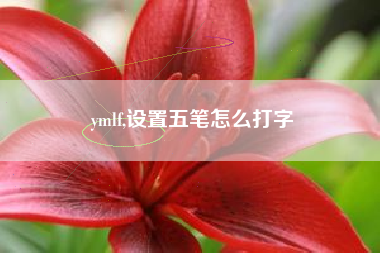 ymlf,设置五笔怎么打字