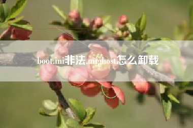 boot.ini非法,mighost怎么卸载