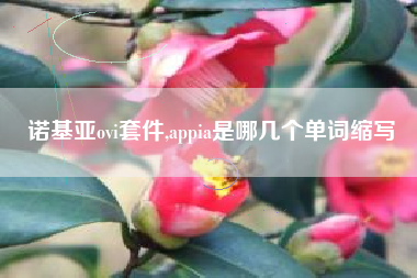 诺基亚ovi套件,appia是哪几个单词缩写