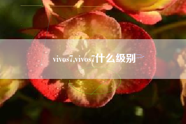 vivos7,vivos7什么级别