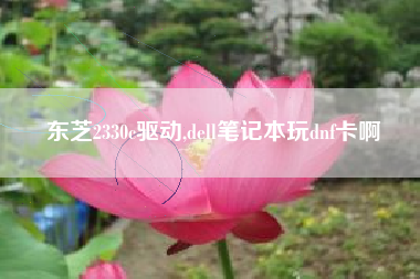 东芝2330c驱动,dell笔记本玩dnf卡啊